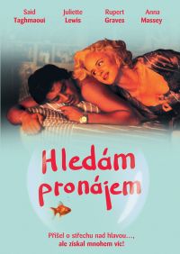 Hledám pronájem - více informací Hledám pronájem- více informací