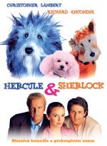 Hercule a Sherlock - více informací Hercule a Sherlock- více informací