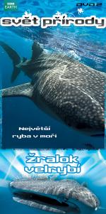 Svět přírody DVD2: Žralok velrybí- více informací