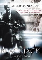 Blackjack - více informací Blackjack- více informací